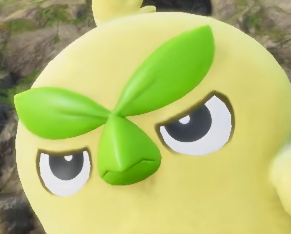 Gufferd 😼 tweet media