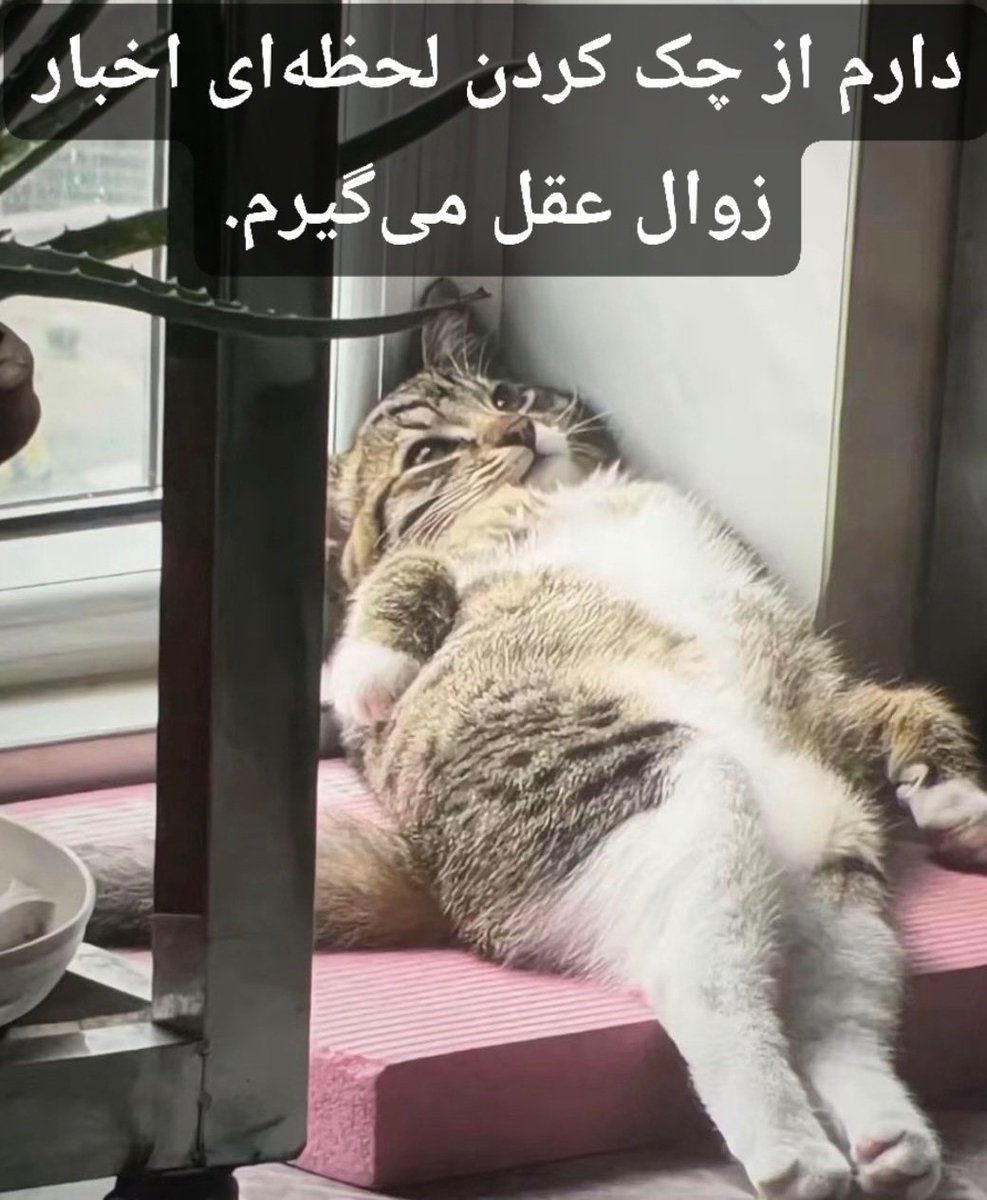 Mɪʟᴀᴅ tweet media