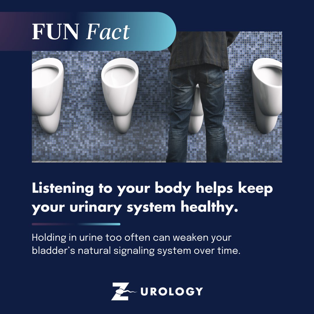 🧠 Fun Fact Friday:
Holding in urine too often can weaken your bladder’s natural signaling system over time.
Listening to your body helps keep your urinary system healthy.

📞 Call (954) 714-8200 or visit zurology.com to learn more about bladder wellness.