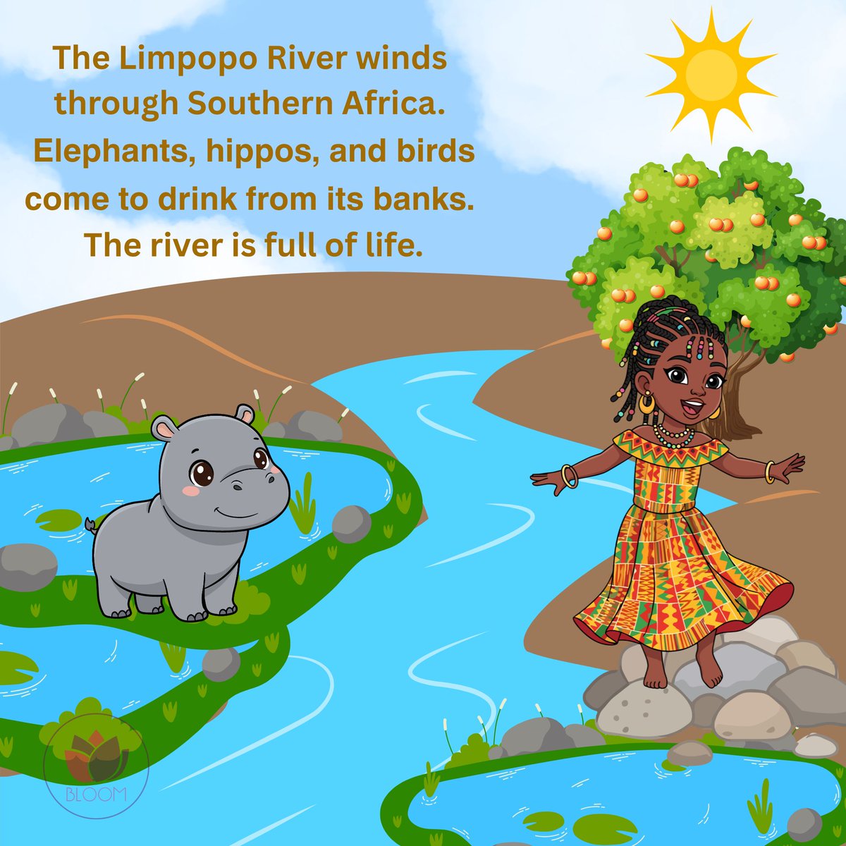 Bloom Innovations tweet media