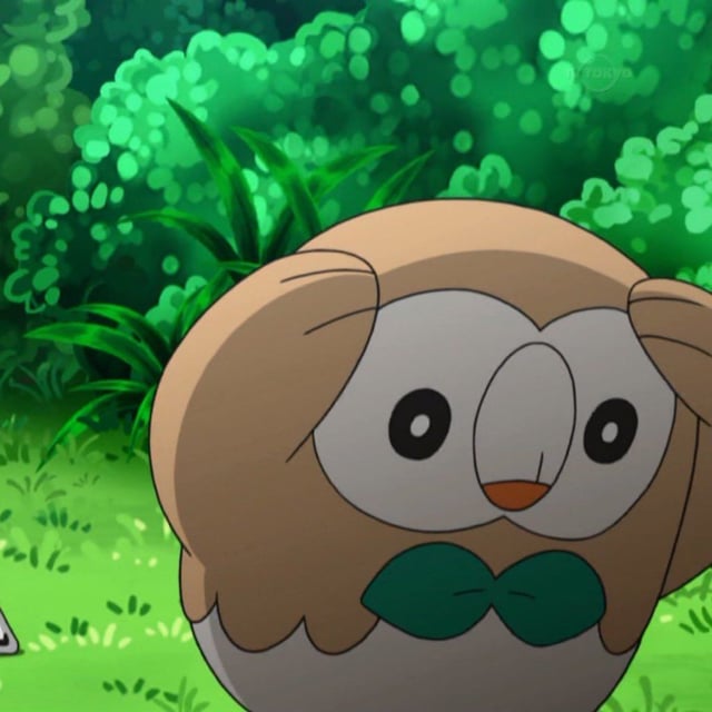 InklingMario's tweet image. Rowlet you have a brother you never told us