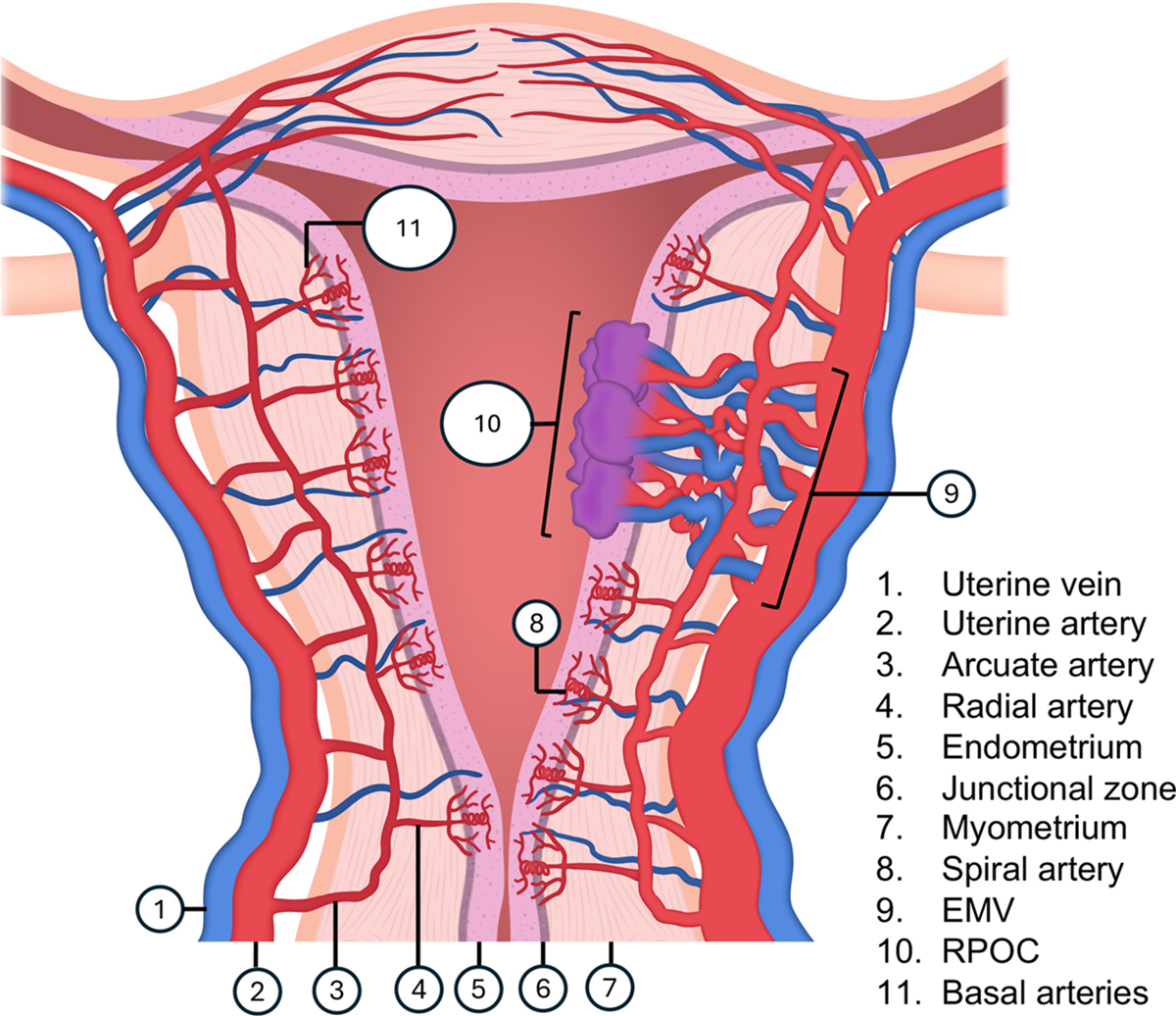 RadioGraphics tweet media