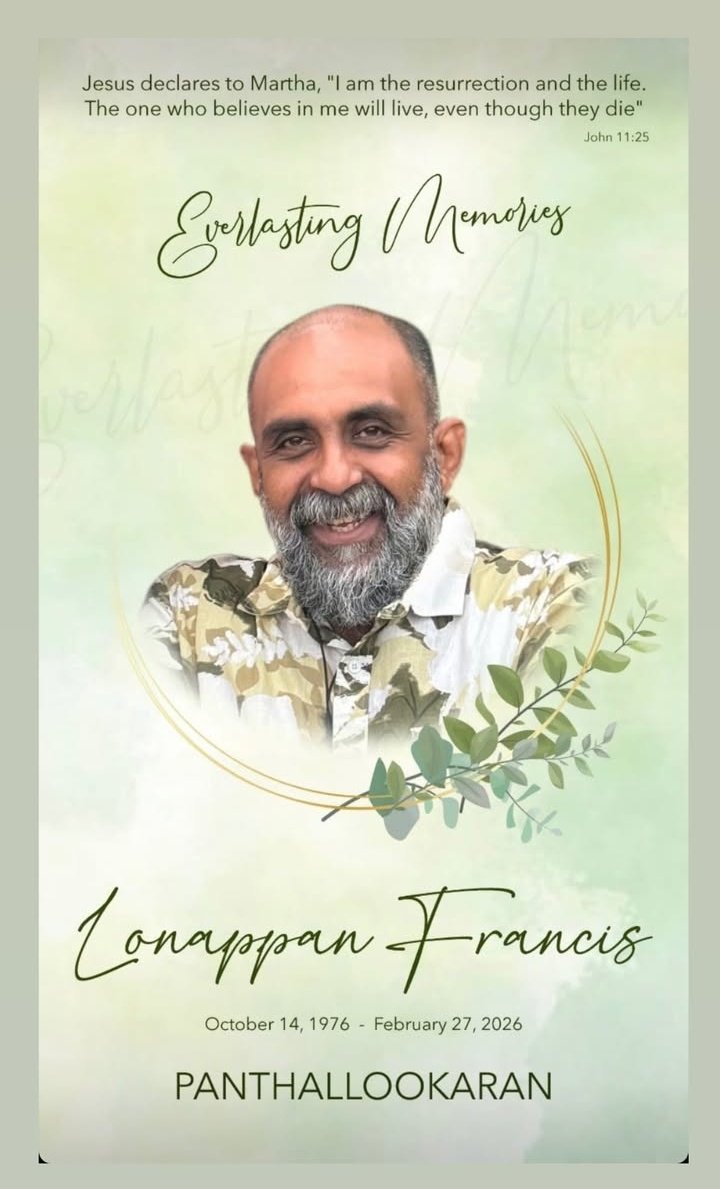 Anvi 🦚 tweet media