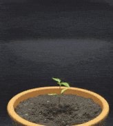 Katie Chetta tweet media