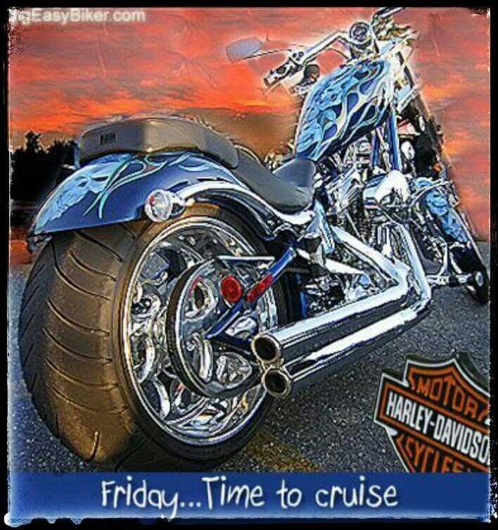 MSVirginia4's tweet image. 🖤
#bikers
#harleydavidson