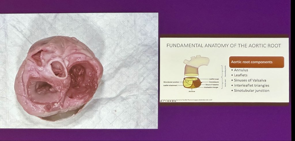 Jacobo Moreno Garijo tweet media