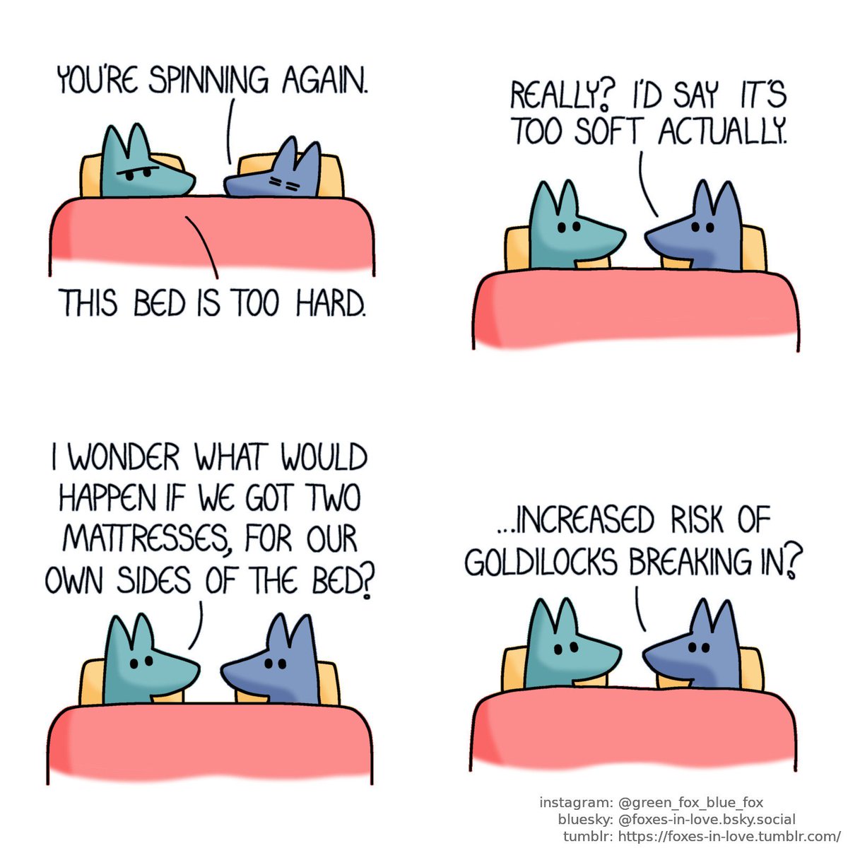 Foxes in Love (@foxes_in_love) on Twitter photo 