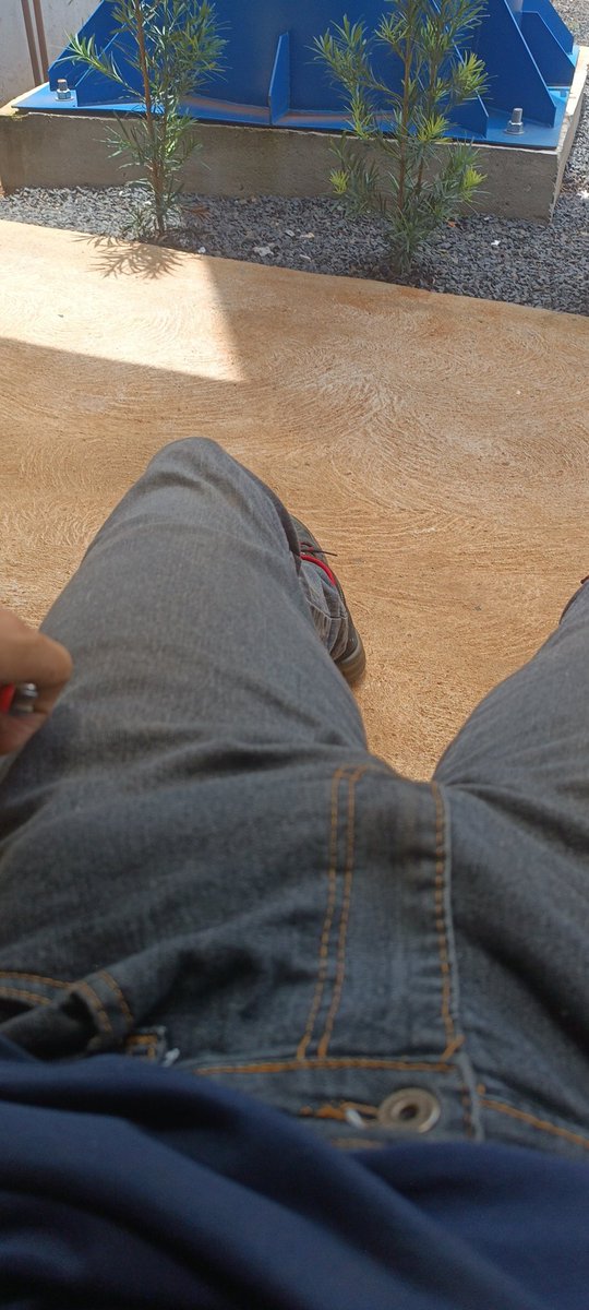 o desbravador tweet media