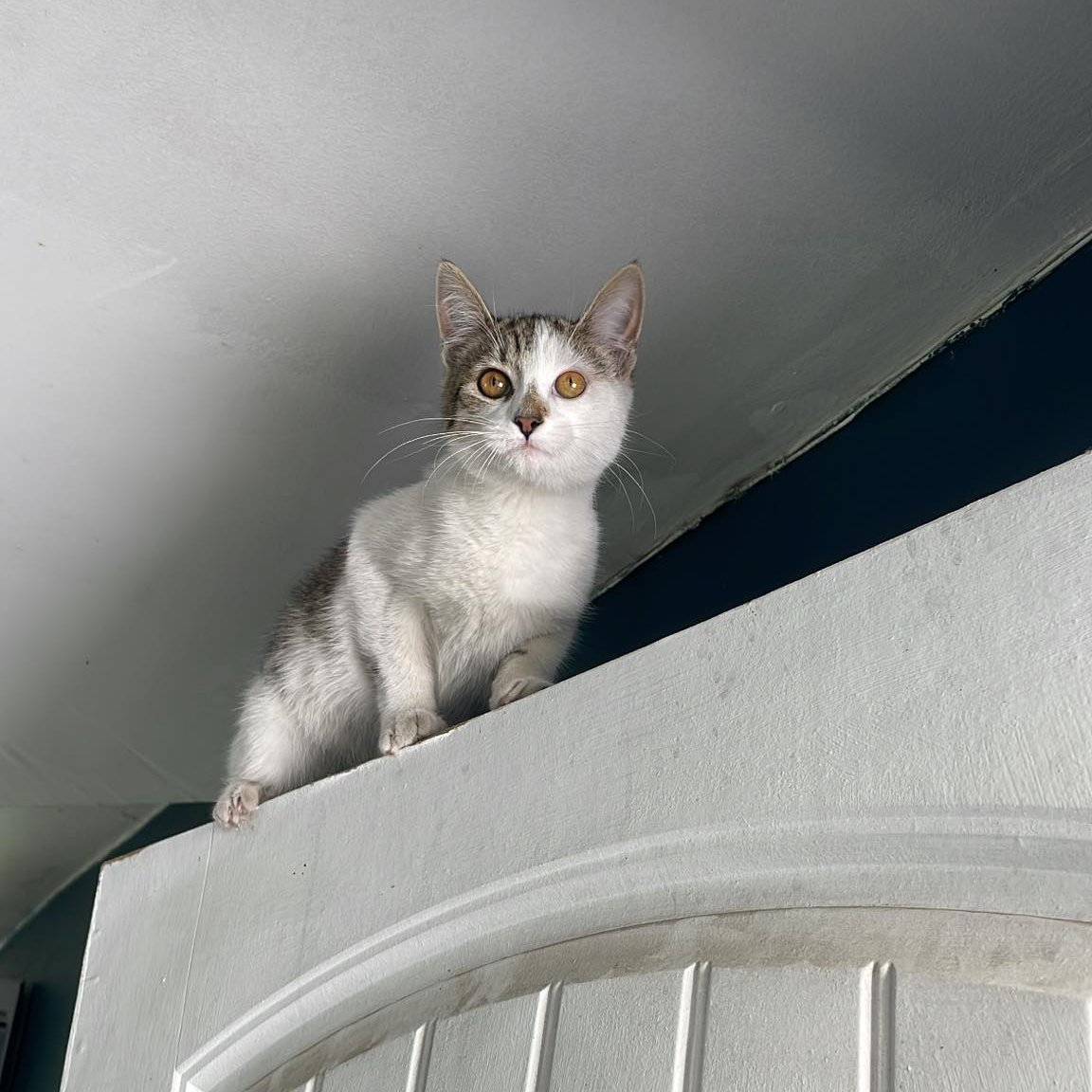 Quizás todo lo malo que me esta pasando en la vida es por mandar tantas veces a la verga a Alma