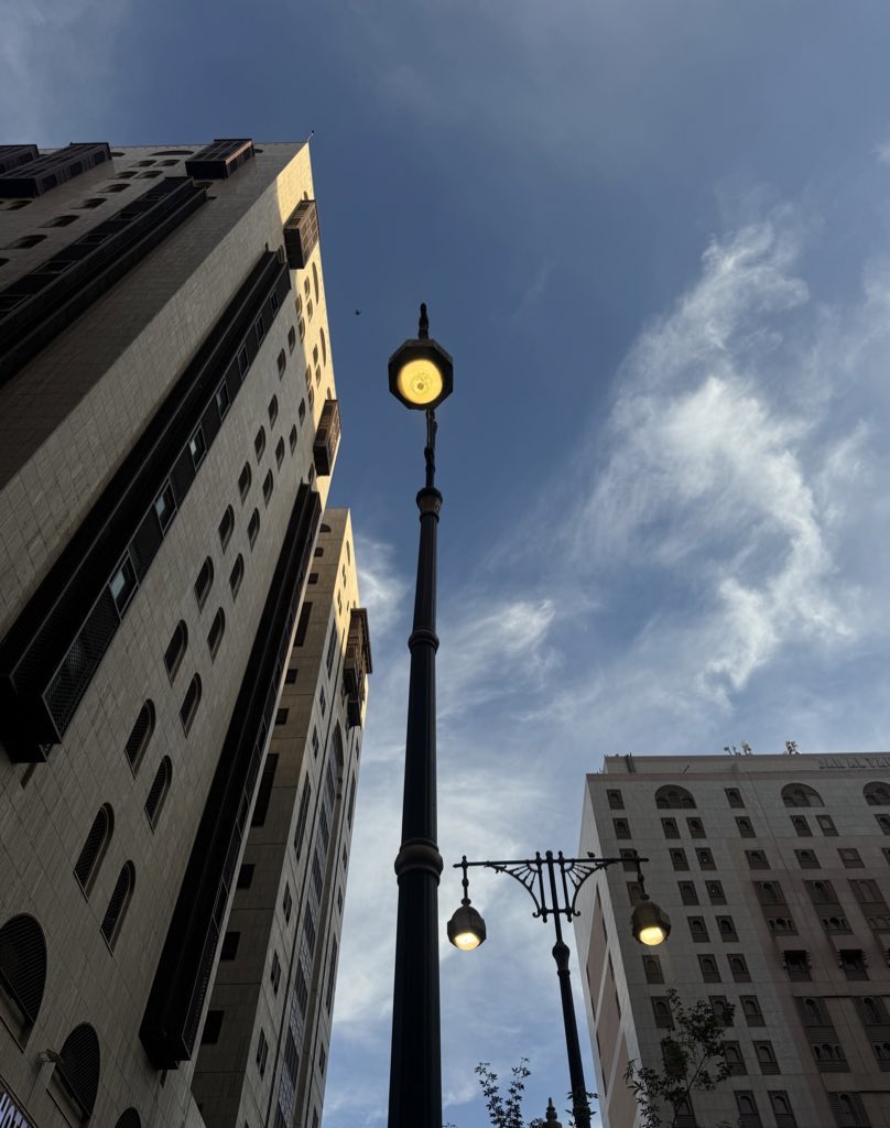 albndary tweet media