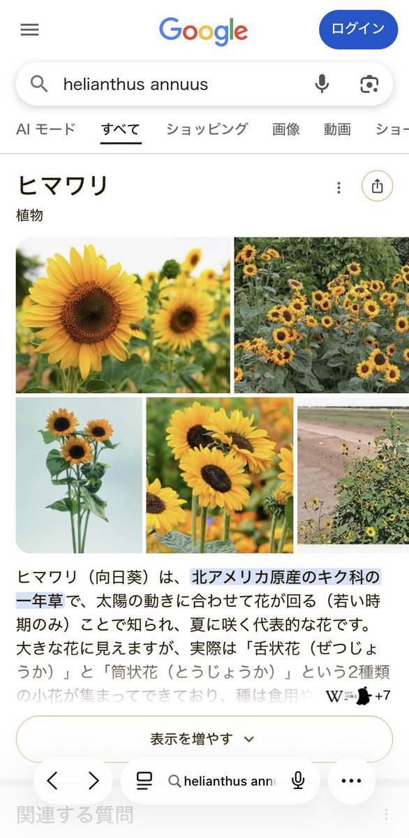 #PrimeVideoNissy 

Nissy Entertainment "Re:10th Anniversary Final" BEST DOME TOUR LIVE &amp; Documentaryシーズン1エピソード1の映像から

①1:09:14
②40:37
2035年の西島くんが持ってた芽だ😳
Helianthus Annuus って書いてある🥹
ググってみよう

③腰抜かしました😱

watch.amazon.co.jp/detail?gti=amz…