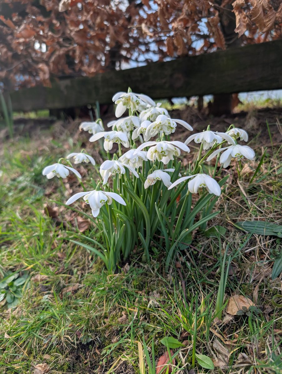 Neil Alexander 🏴🔶️🏉🎮 tweet media