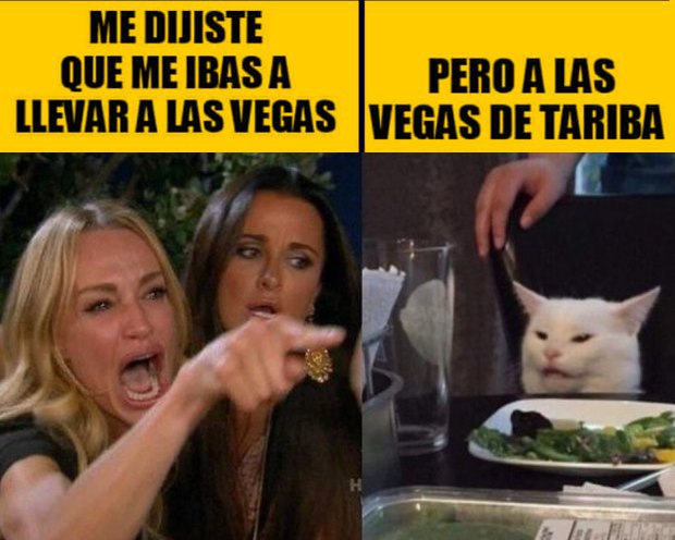 tochadas tweet media