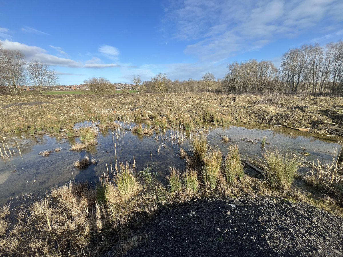 ScarecrowNeste1's tweet photo. Iβm a couple of days late to this regular spot - 1st spawn date is likely to be similar to last year, but still well behind 2024.
?? Q. Why do they use the EXACT same spot ?? π―πΈ
(Just a rough regenerating area on an industrial site)
@PondDip
#Spawnmap
#Spawnmap26 https://t.co/aayyd18WxJ