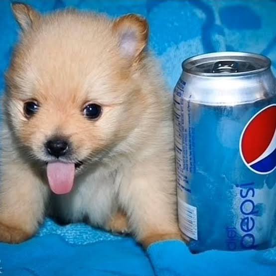 Jeremy Lim tweet media