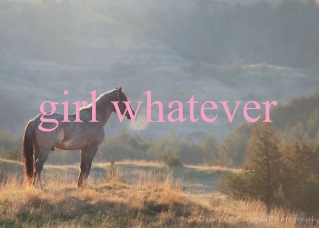 hihollanov81's tweet image. oomf changed their pfp to sabrina its over #goodbye #stayawayfromme