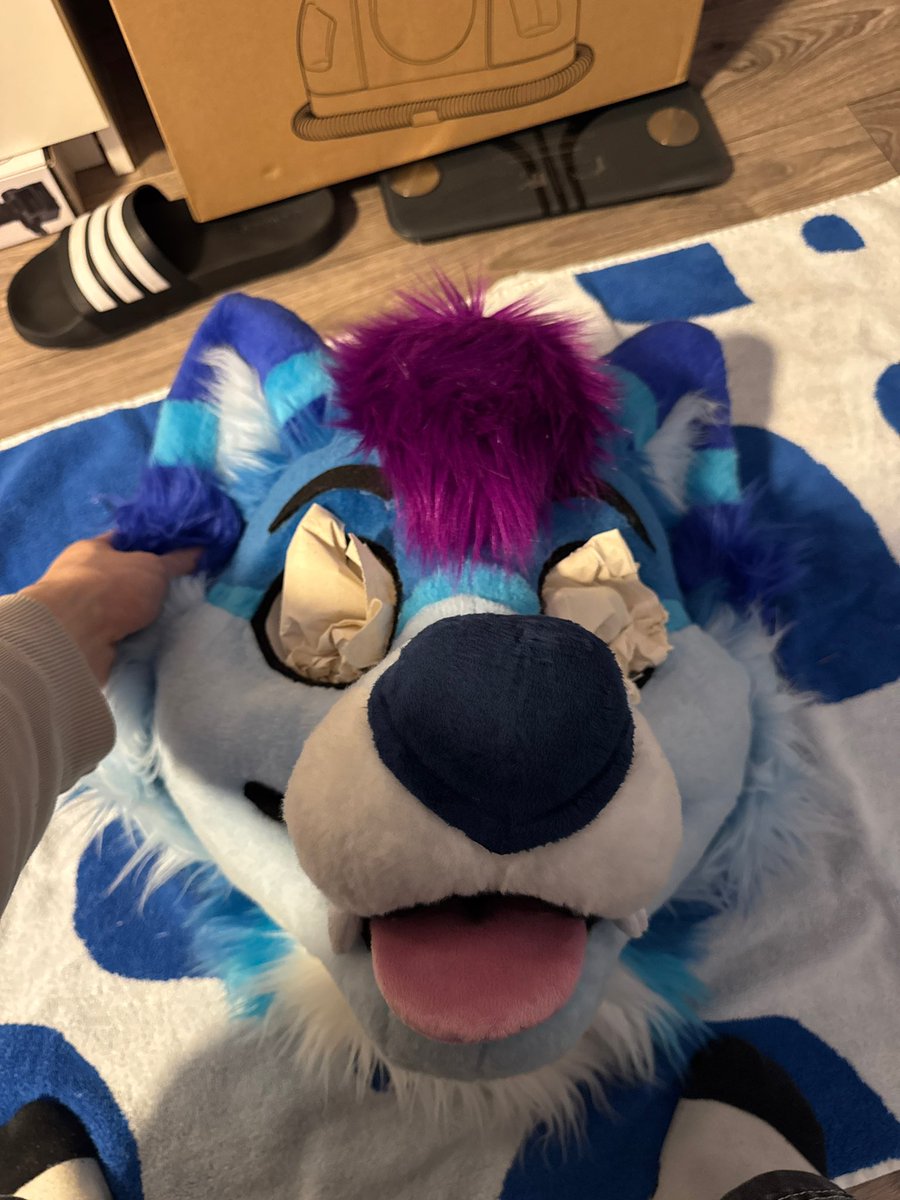 BuckieBlu tweet media