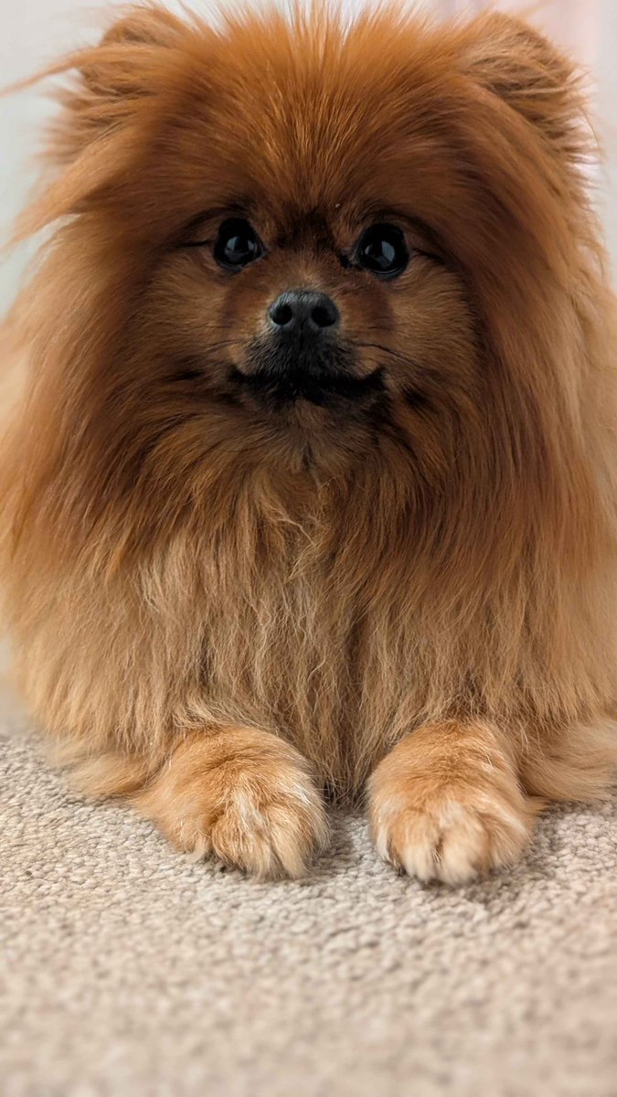 Laimu / Limealicious 🍋‍🟩 tweet media