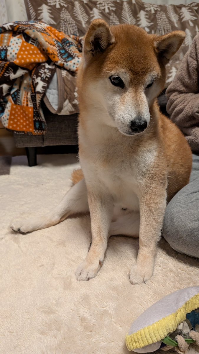 パジ (@surf815) / Posts / X