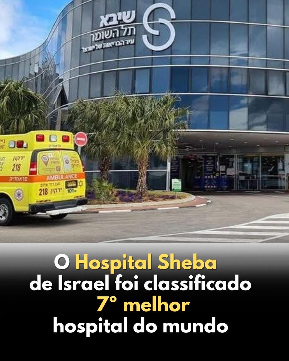 Benjamim ✡︎ tweet media