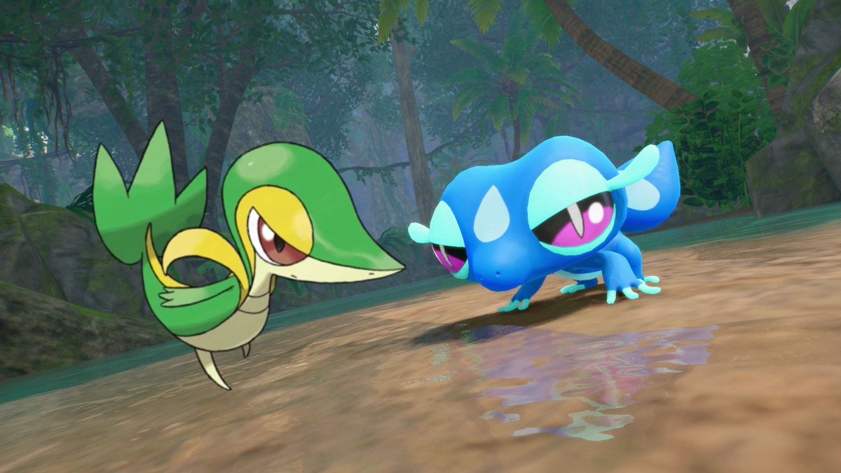 Do you see my vision… do you see why I'm choosing Gecqua