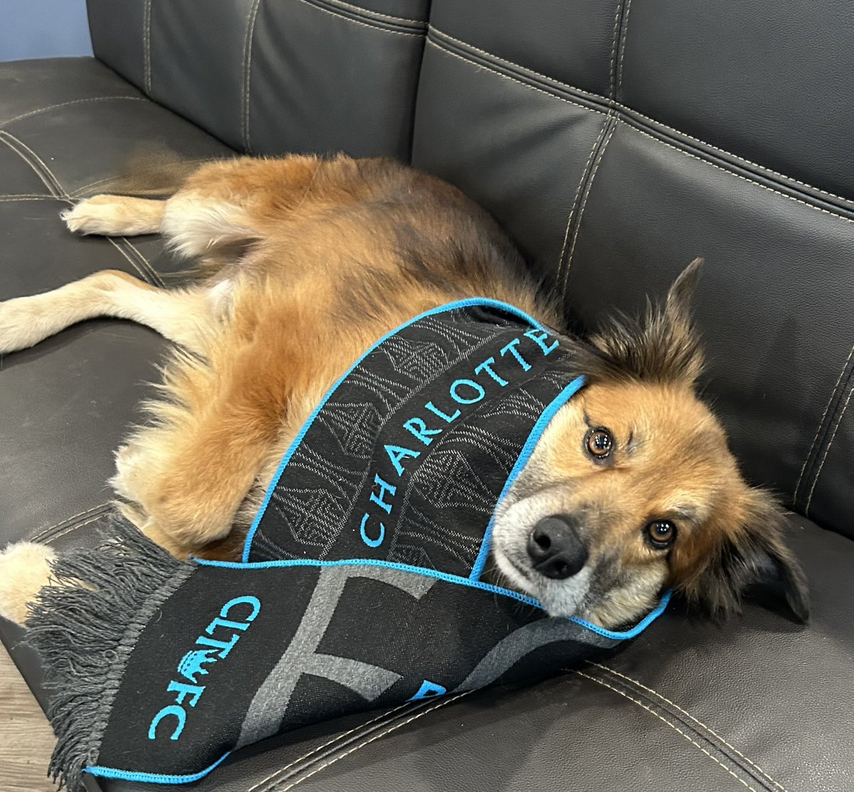 John Orton tweet media