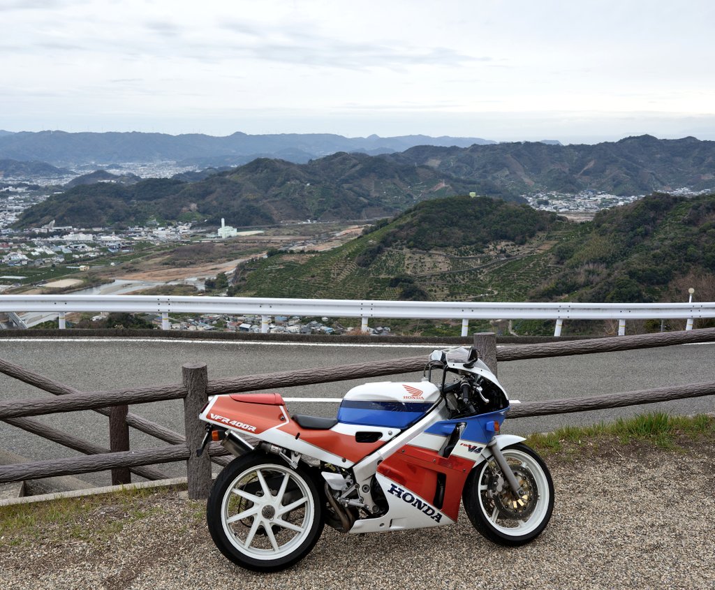 みかんの丘に来た