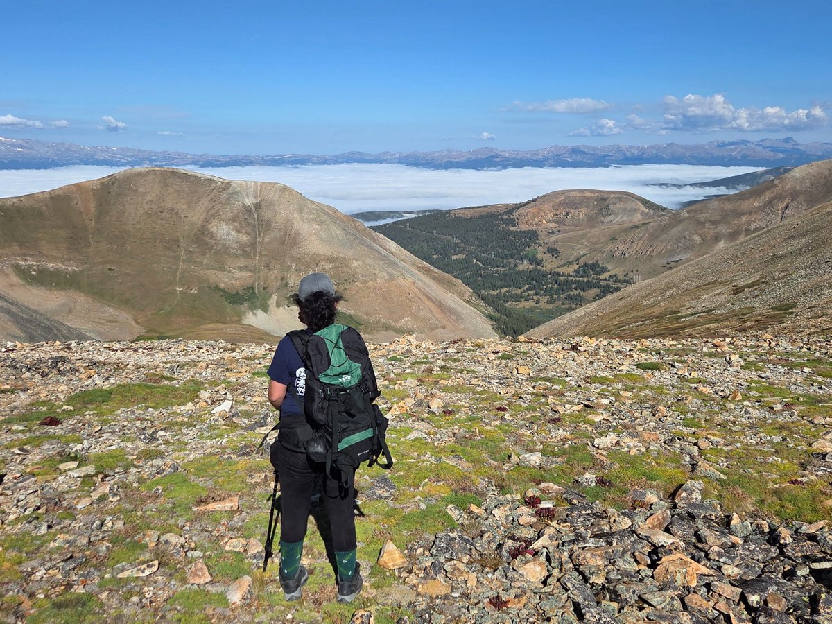 ✳️Ⓐ Armed Joy 🔫💣 tweet media