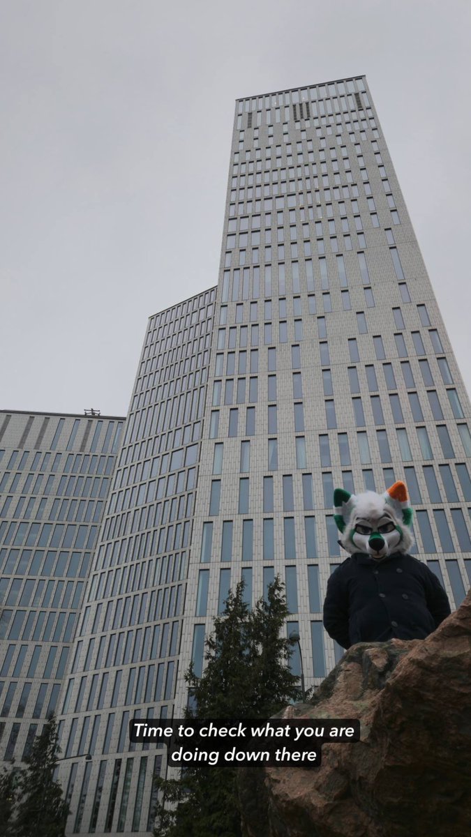 Refferic the Coyote tweet media