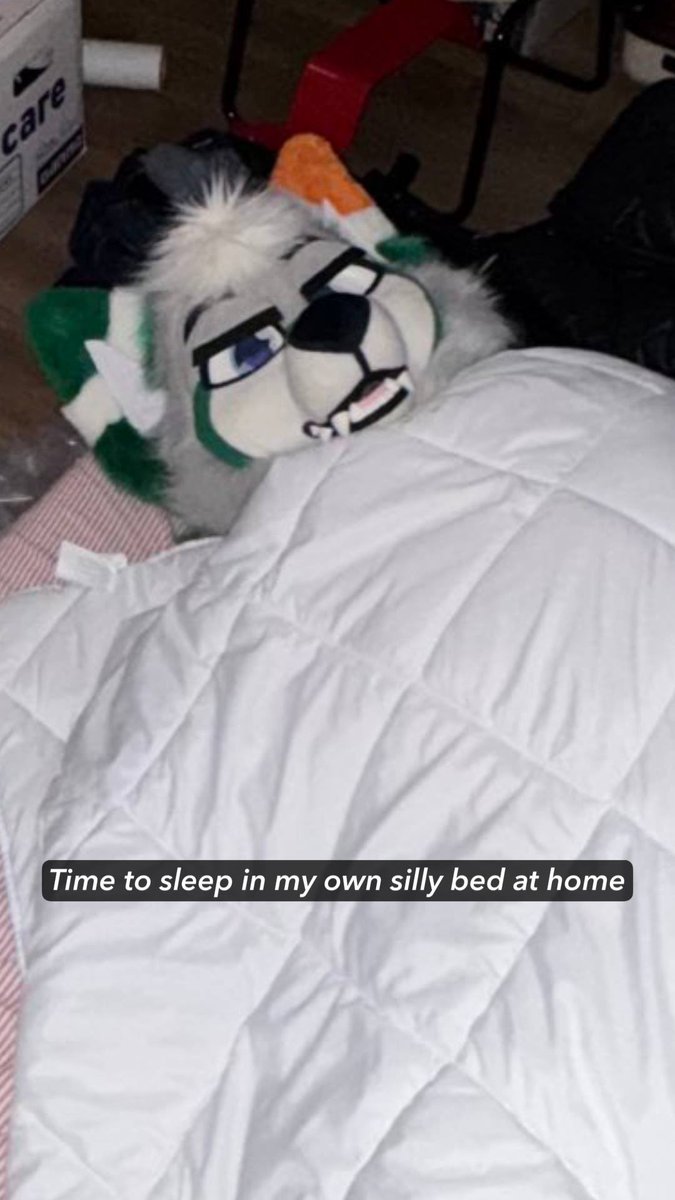 Refferic the Coyote tweet media