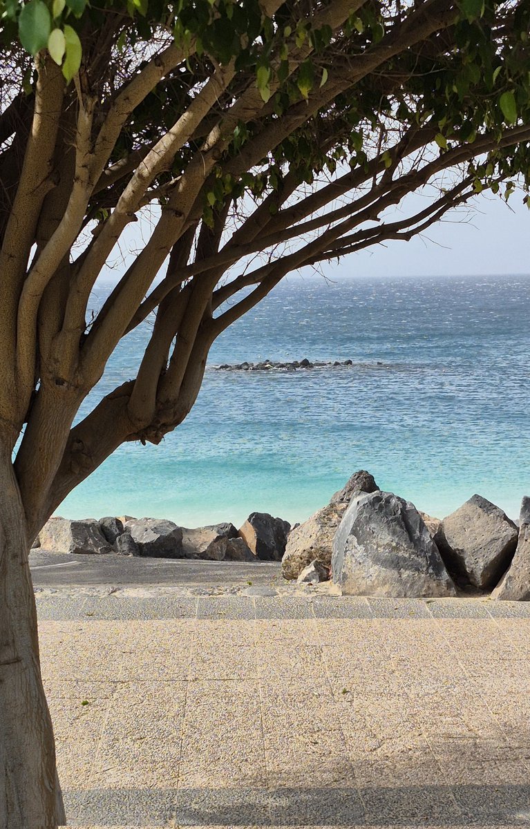 Tim Thorley 🇪🇺🇬🇧🇺🇦🚴🥃 tweet media