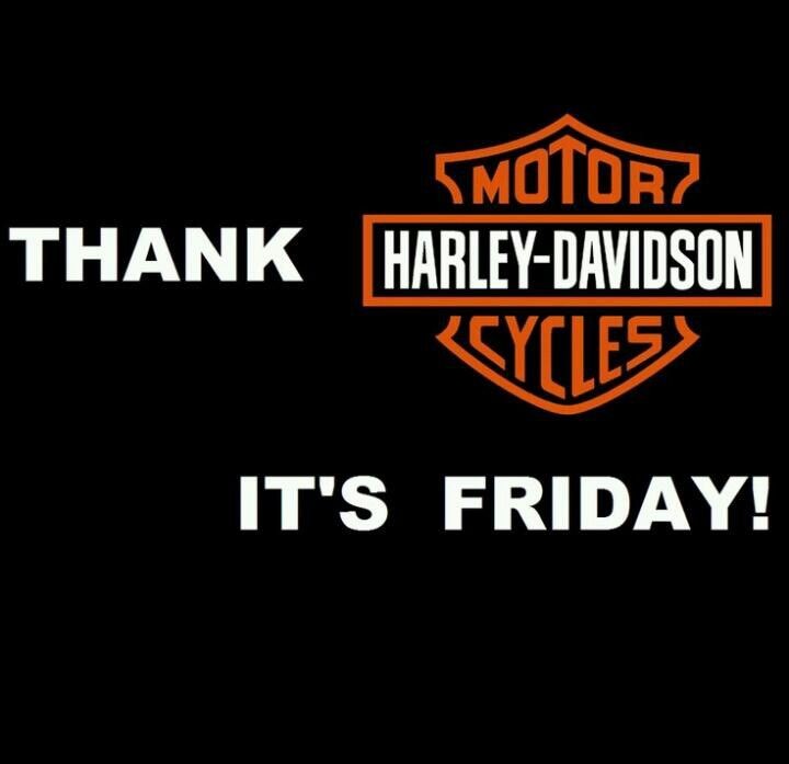 MSVirginia4's tweet image. 🖤
#bikers
#harleydavidson