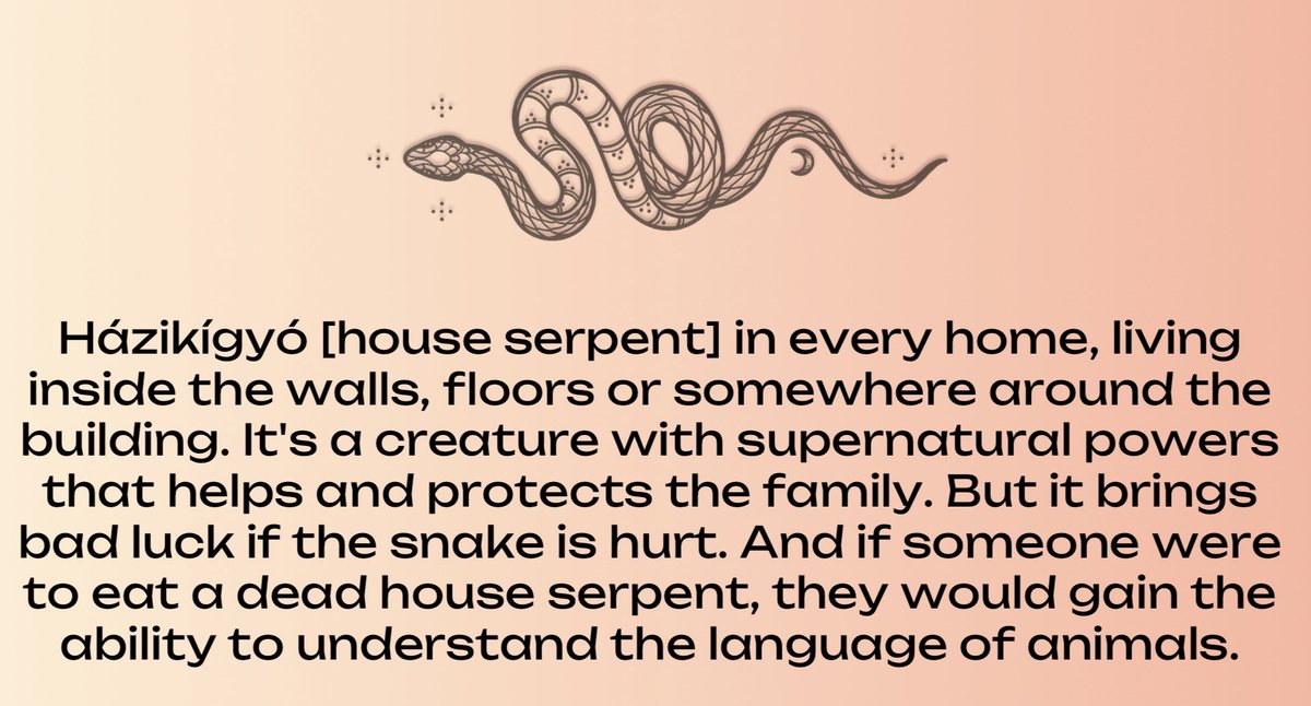 ᨒ↟ 𖠰𖥧˚⏾ tweet media