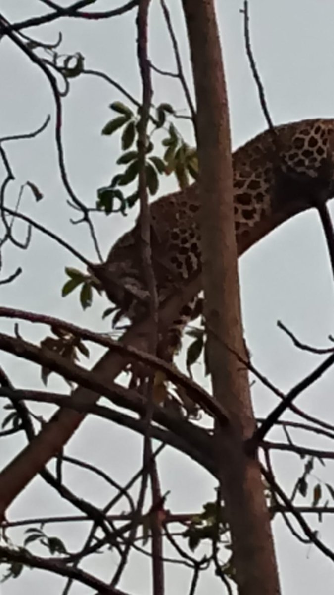 Prashant pandey tweet media