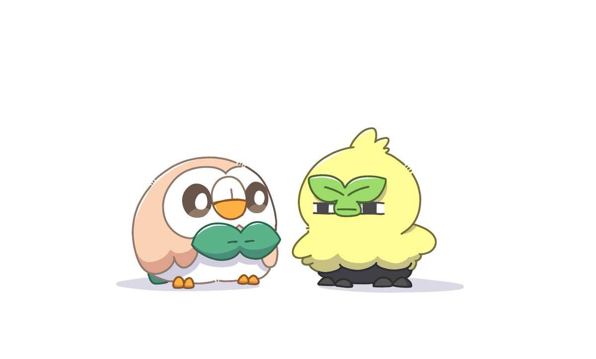 🦉🐥