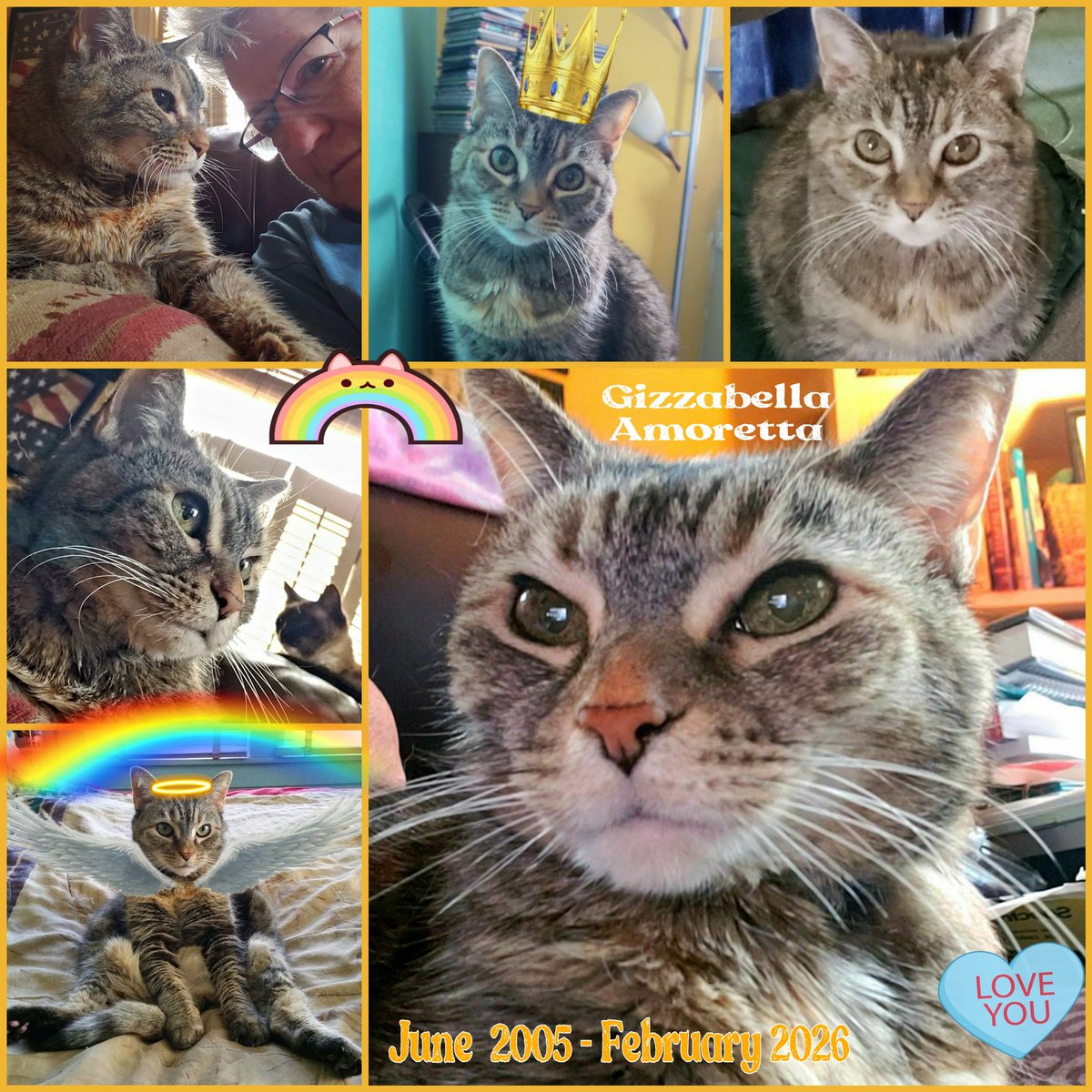 Cassie J. Fox tweet media