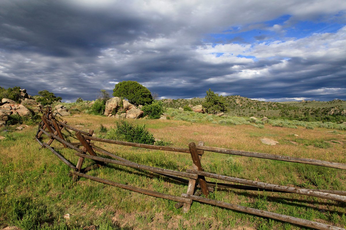 2911 Media tweet media