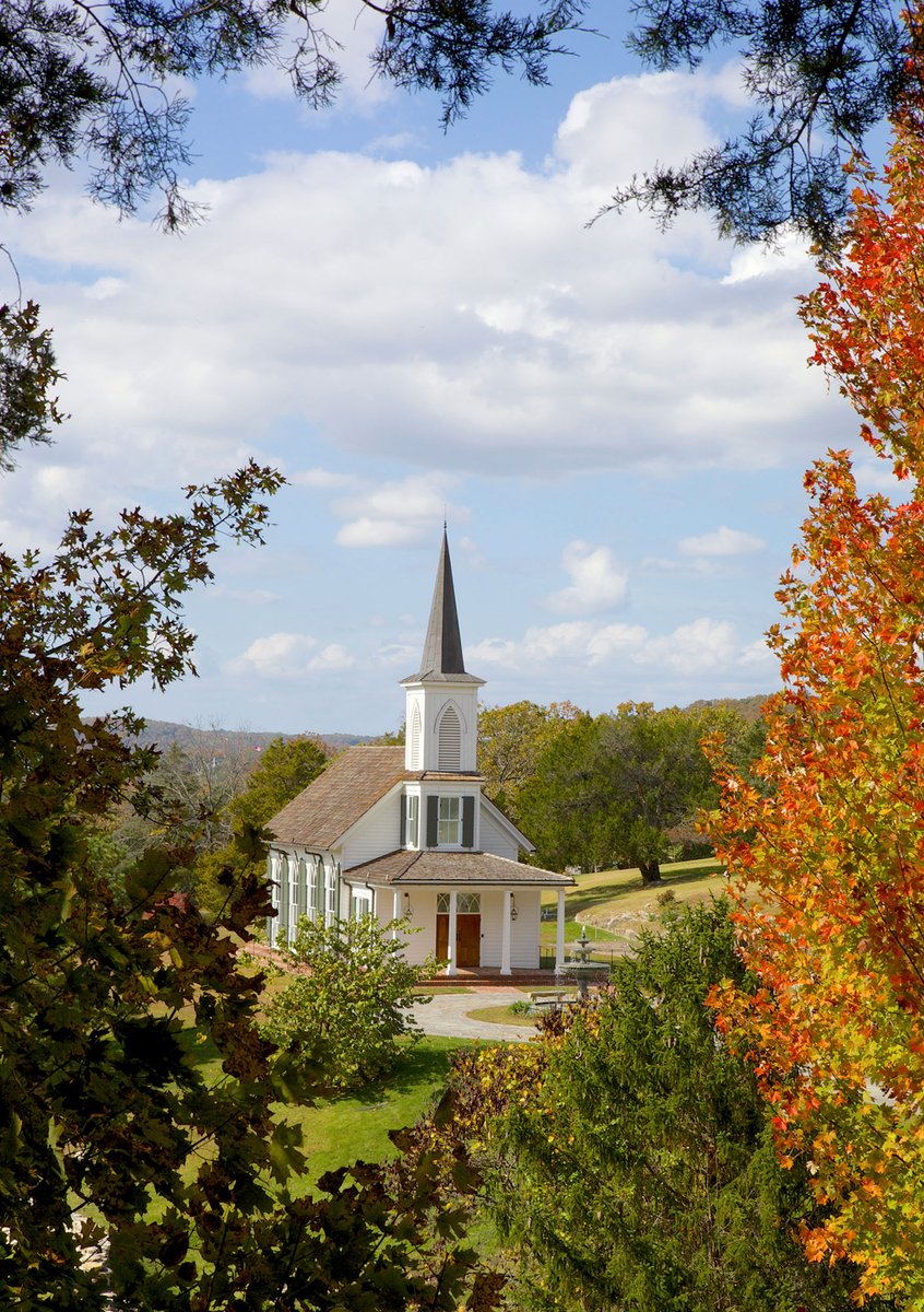2911 Media tweet media