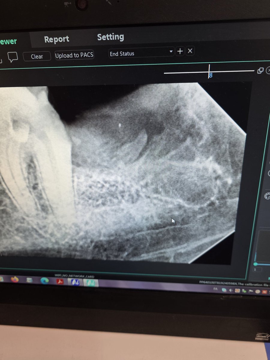 دندانپزشک سیّار tweet media