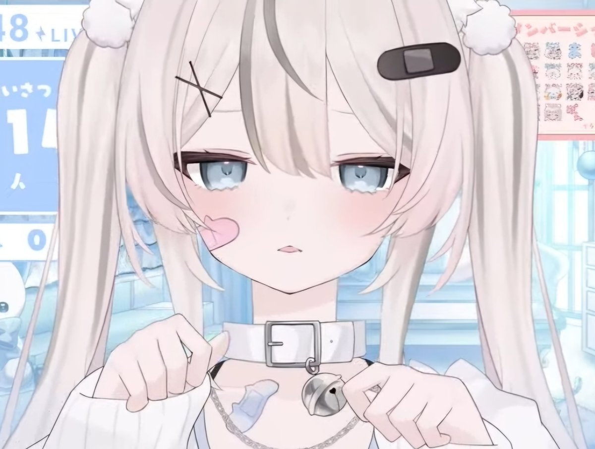 真白猫ミミィ #ましろねとよふかし ※配信URLはリプ欄へ 個人Vtuber