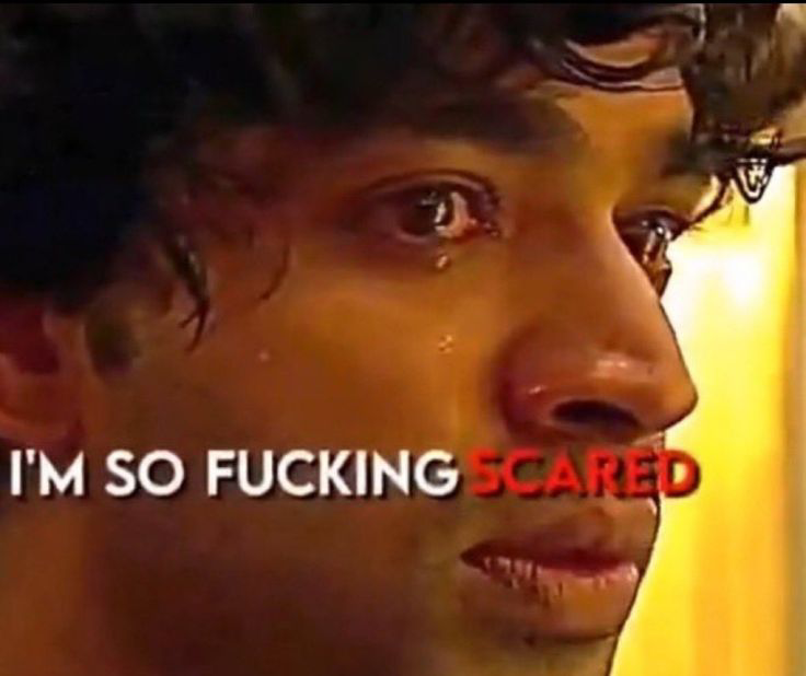 pokémon fans realizing that there's a huge possibility pombon's final evolution is a bipedal pokémon