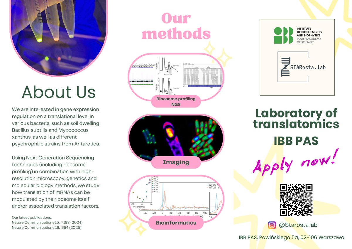 Agata Starosta tweet media