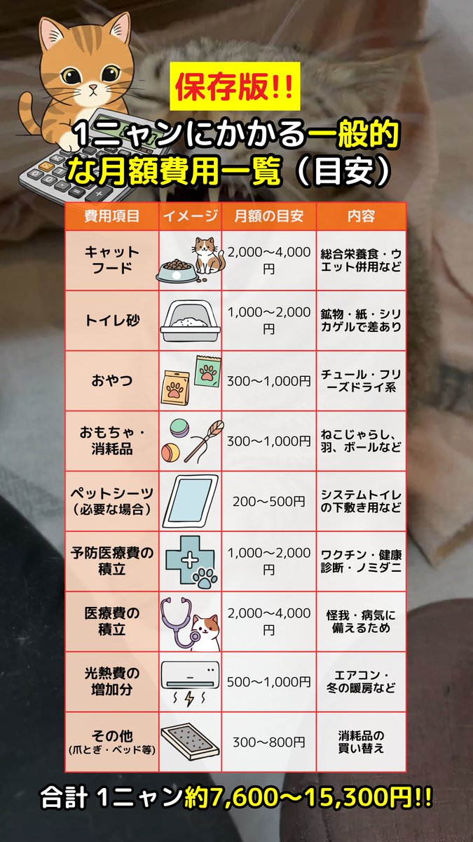 🌟猫が人生の全て🌟 (@pawsome_life_) / Posts / X