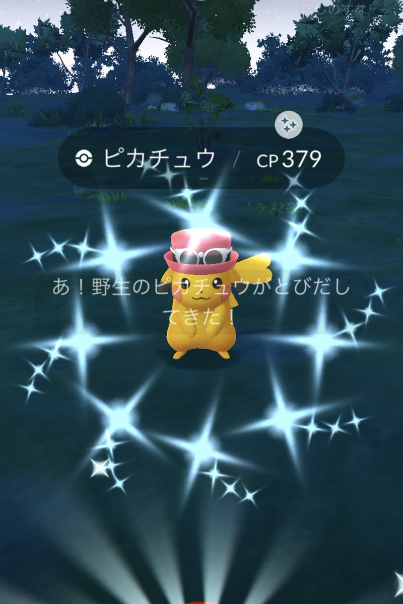 また光った🥳✨✨ 新作の風波も楽しみ！ 来年になったらSwitch2買うか