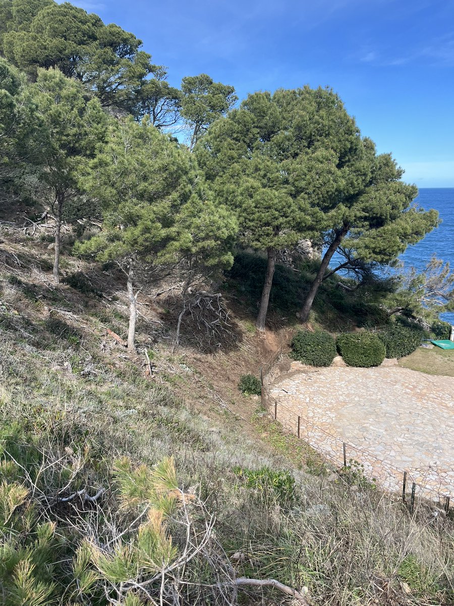 BIOSFERA tweet media