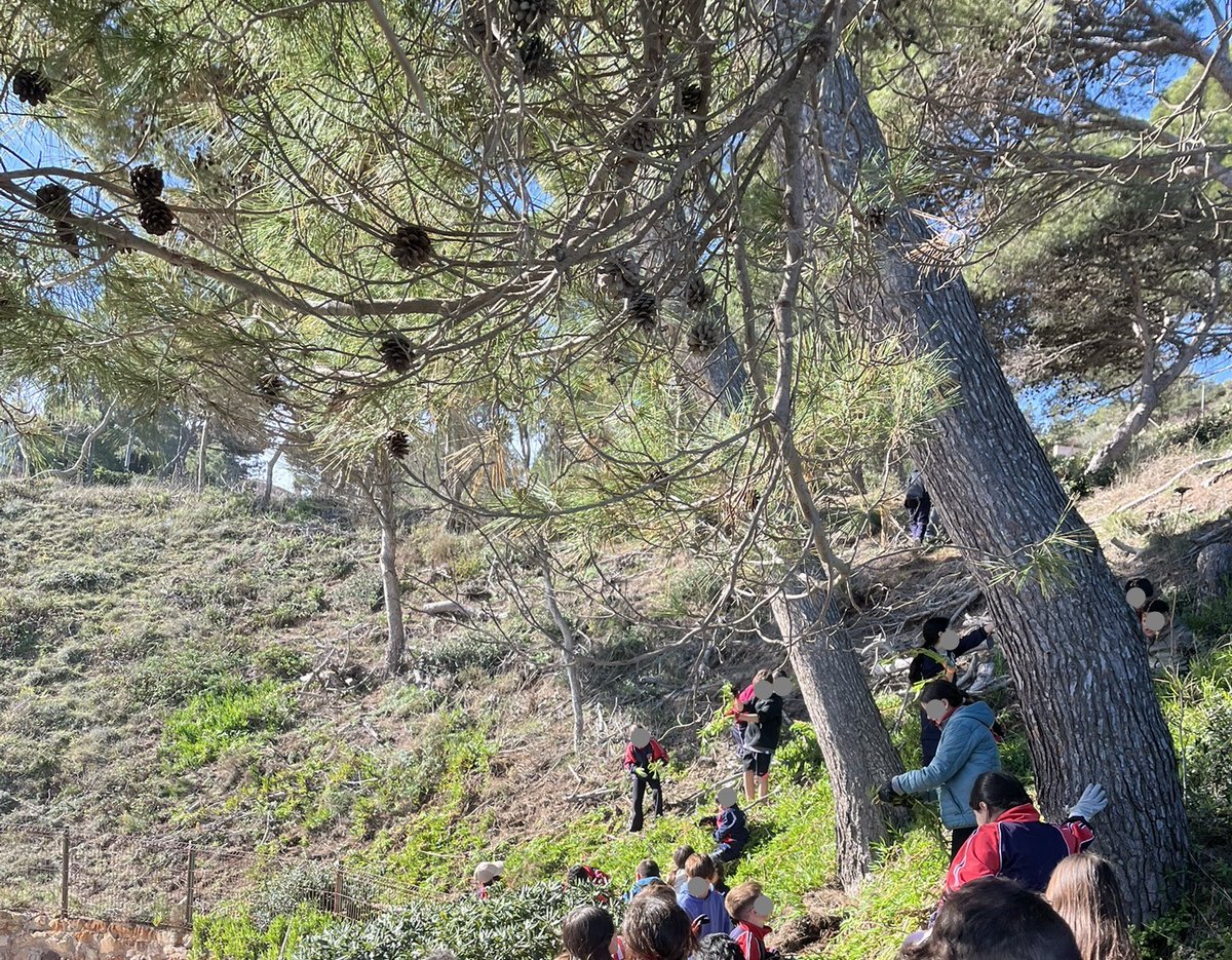 BIOSFERA tweet media