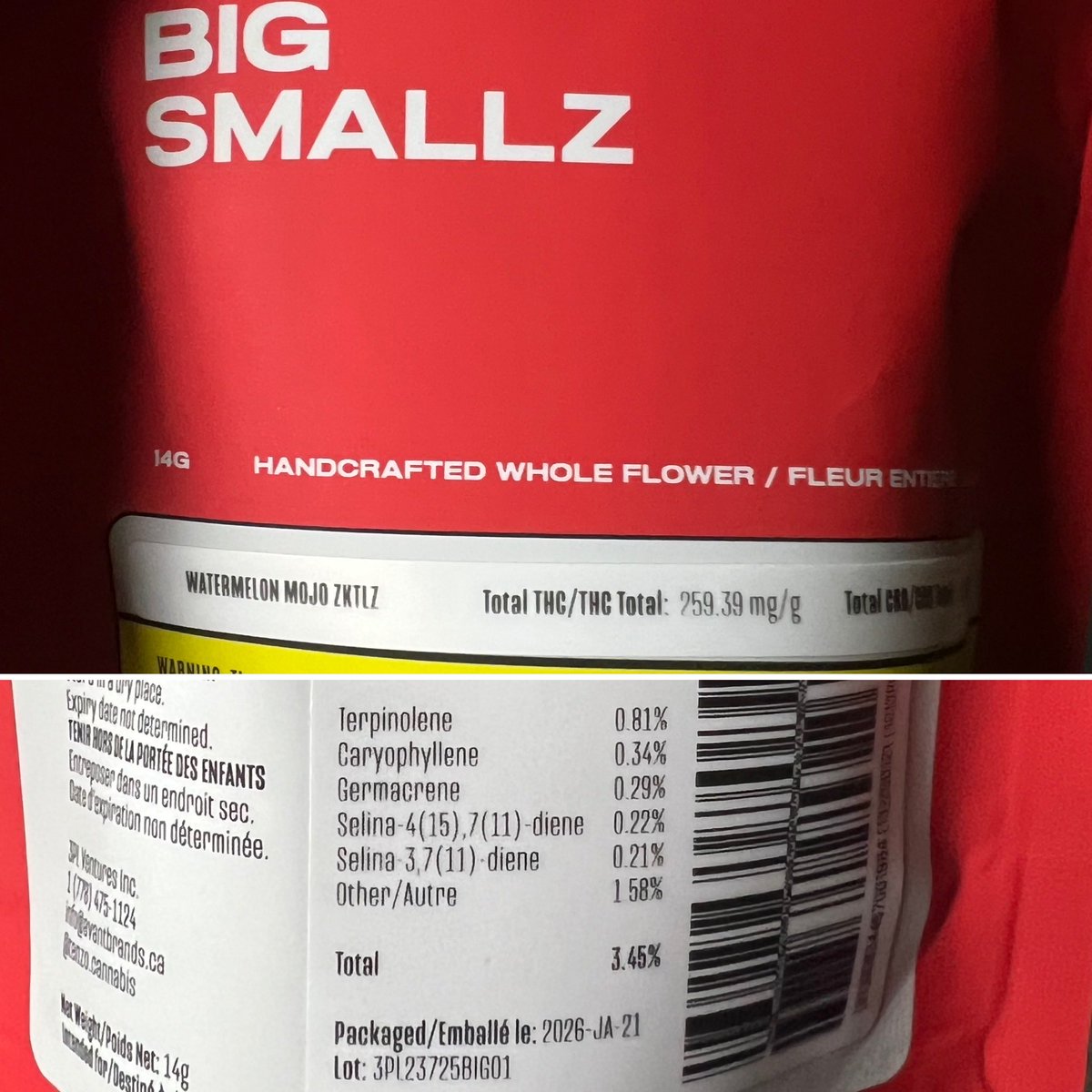 Randy Lahey tweet media