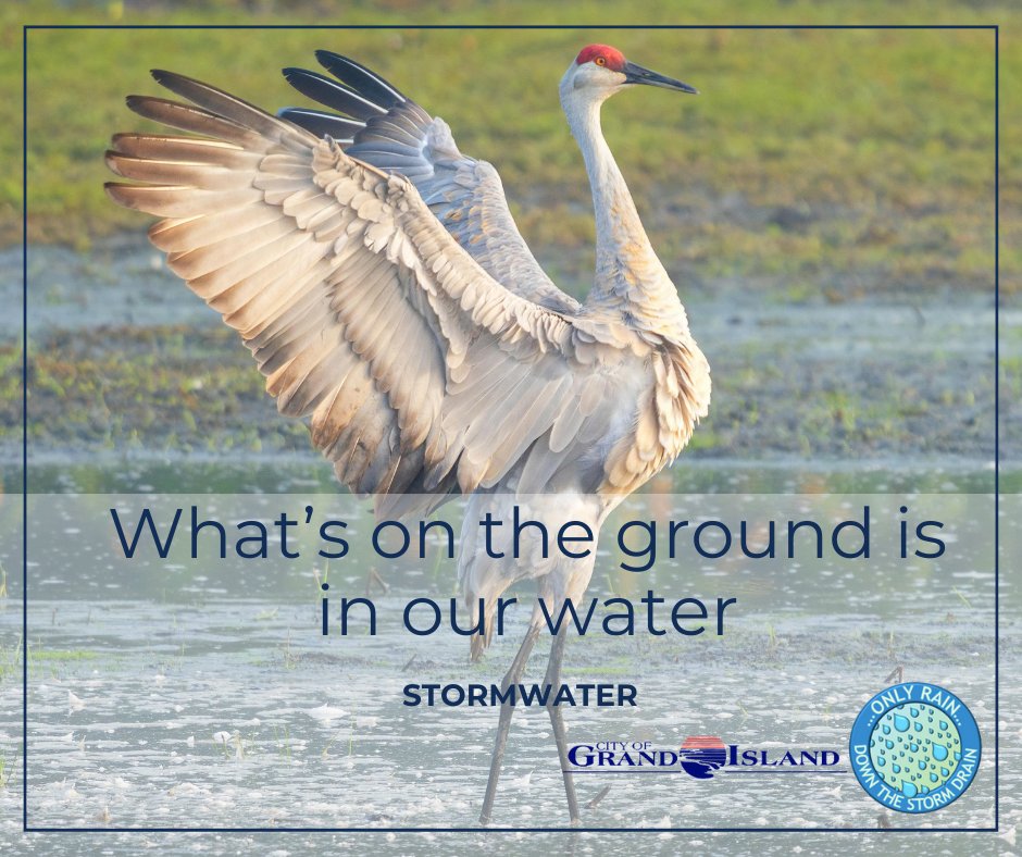 GI Public Works tweet media