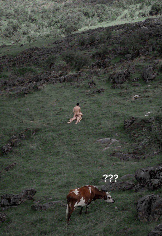 同频空间🐉 tweet media