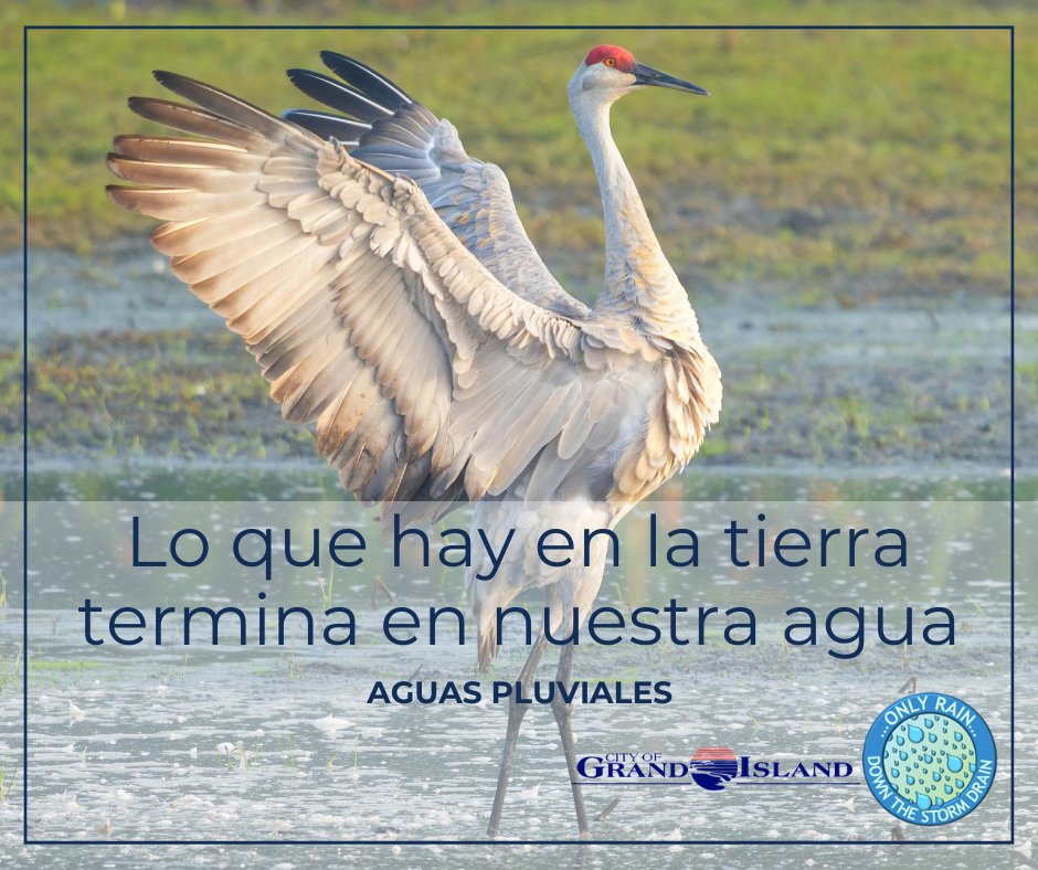 GI Public Works tweet media